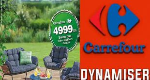 Carrefour Dynamisez Votre Jardin